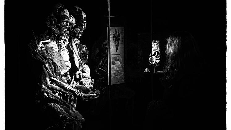 Die Ausstellung "Körperwelten - eine Herzenssache" wird noch bis zum 11. Februar im Quelle-Areal in Nürnberg gezeigt. Foto: Matthias Hoch