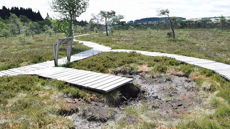 Das Schwarze Moor in der Rhön leidet unter dem Klimawandel. Zum Schutz des Moores empfiehlt ein Gutachten nun, den Wasserhaushalt der einzigartigen Naturlandschaft zu verbessern. Foto: Alana Steinbauer