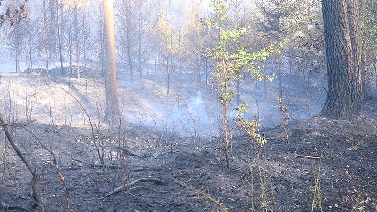 Waldbrand ruft Feuerwehr auf den Plan: Rund 20 Hektar stehen in Flammen