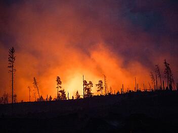 Symbolbild Waldbrand