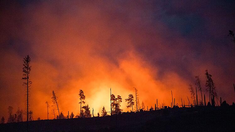 Symbolbild Waldbrand