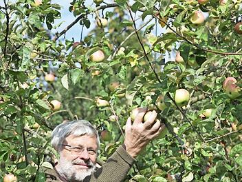 Auch Franz Mages bereitete die Apfelernte viel Freude, wie unser Bild vermittelt; die Obstbäume wurden einstmals im Rahmen der Flurbereinigung gepflanzt. Foto: Dieter Radziej