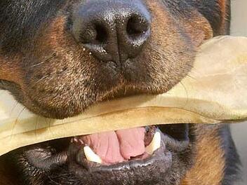 Symbolbild Foto: dpa