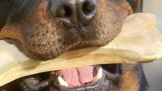 Symbolbild Foto: dpa