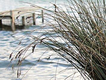 In Zwickau fand die Polizei am Dienstag (30. Janaur 2018) die Leiche einer 17-J&auml;hrigen in einem Teich. Symbolbild: pixabay.com/pixel2013