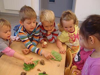 Schneckenbesuch im Kindergarten: Elina, Till, Lukas, Nila, Nele und Samantha sind begeistert. Der Kindergarten "Paradieso" in Euerdorf erfreut sich großer Beliebtheit, und zwar auch in Nachbarorten. Foto: Renate Kröckel