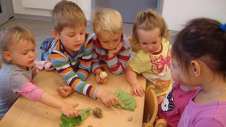 Schneckenbesuch im Kindergarten: Elina, Till, Lukas, Nila, Nele und Samantha sind begeistert. Der Kindergarten "Paradieso" in Euerdorf erfreut sich großer Beliebtheit, und zwar auch in Nachbarorten. Foto: Renate Kröckel