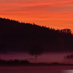 Abendrot vom 8.11.2015 - Die Bilder unserer Leser