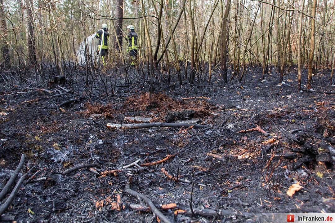 3000 Quadratmeter Waldboden standen in FlammenFeuerwehr hatte Lage schnell unter Kontrolle – Feuerwehr gibt Tipps für richtiges Verhalten im Wald aufgrund der Waldbrandgefahr
