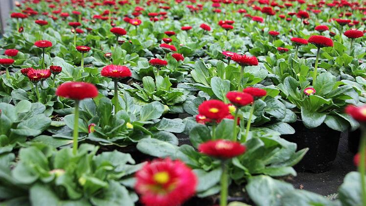 drinnen "schee" bunt.