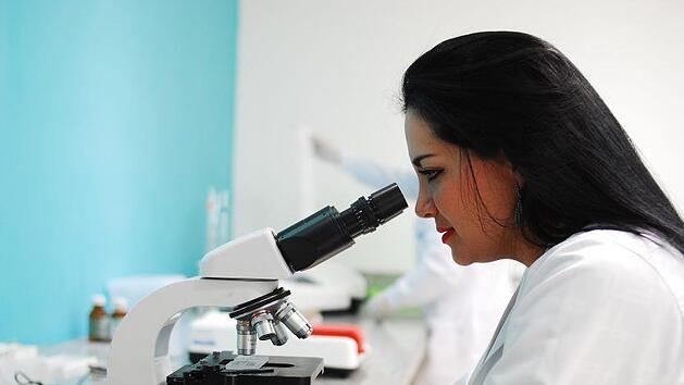 Auf Mallorca haben Forscher den gef&auml;hrlichen Rattenlungenwurm entdeckt: Der Parasit gilt als Ausl&ouml;ser von Hirnhautentz&uuml;ndungen und kann in Einzelf&auml;llen sogar zum Tod f&uuml;hren. Symbolfoto: pixabay.com