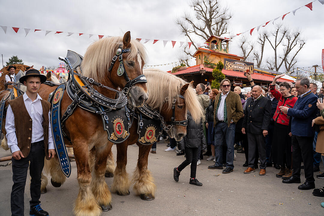 Mehr als 150 Buden und Attraktionen!