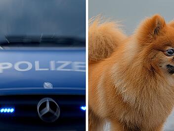 Ausgesetzter Hund stirbt auf A9 bei Thalm&auml;ssing - Autobahn durch Polizei voll gesperrt
