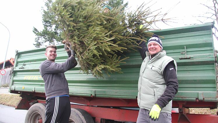 Der FC Gehülz sammelte mit einem großen Schlepper die Christbäume. Oliver Schubarth und Jens Arnold warfen sie zu Fabian Bittruf hoch auf den Anhänger.  Fotos: Sonja Adam