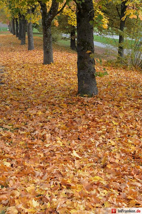 Herbstimpressionen Bamberg