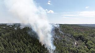 Waldbrand mit Munition in Rheinland-Pfalz brennt