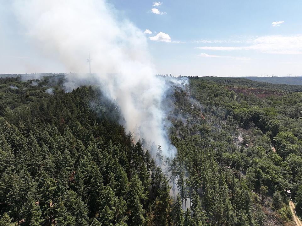 Waldbrand mit Munition in Rheinland-Pfalz brennt