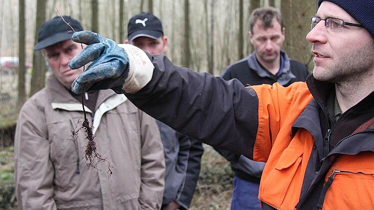 Michael Schneider erklärt, wie die Wurzeln der Jungpflanzen beschaffen sein müssen, wie man beschneidet und wie man richtig gräbt. Fotos: Schaar