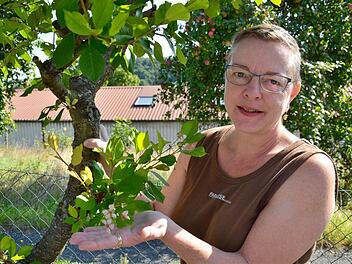 Antje Kümmert zeigt die Blüten an der Sauerkirsche in ihrem Garten. Der Baum steht dort schon seit mehreren Jahrzehnten.  Foto: Kathrin Kupka-Hahn