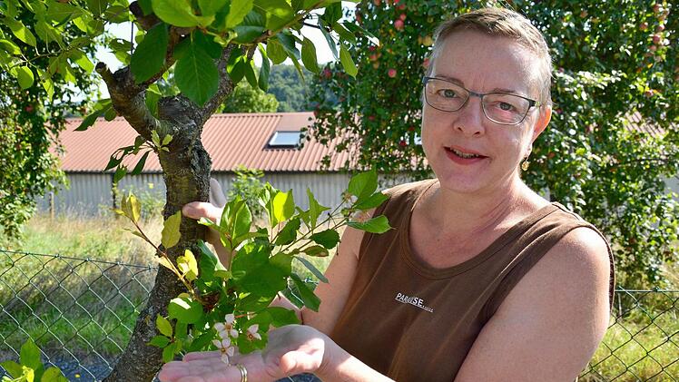 Antje Kümmert zeigt die Blüten an der Sauerkirsche in ihrem Garten. Der Baum steht dort schon seit mehreren Jahrzehnten.  Foto: Kathrin Kupka-Hahn