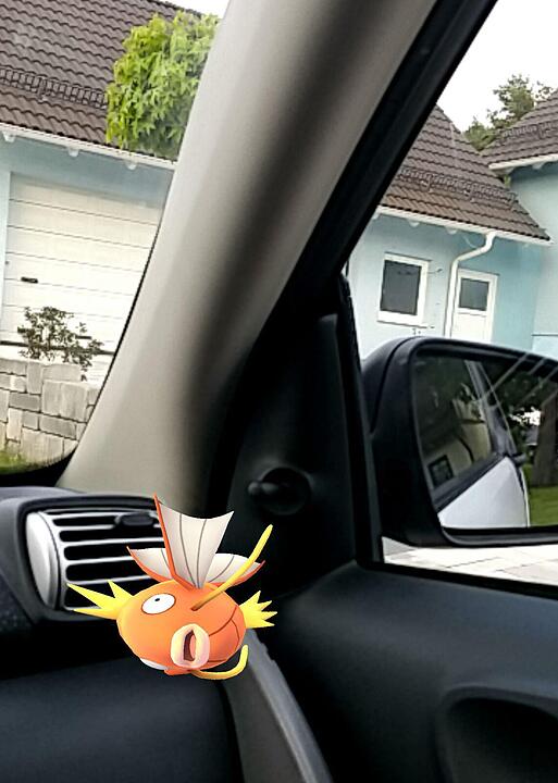 Pokémon Go - Die besten Bilder unserer Nutzer