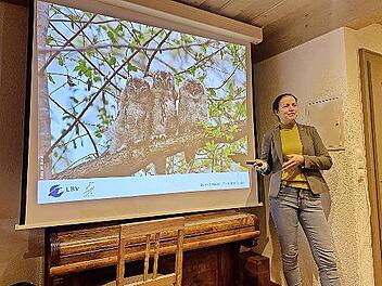 Christiane Geidel stellt Eulen vor.
