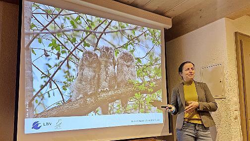 Christiane Geidel stellt Eulen vor.