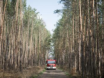 Waldweg