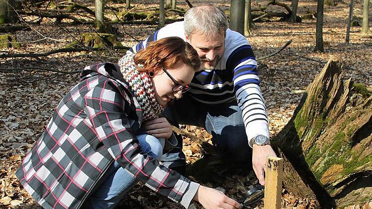 Schülerin Laura Aßmann (17) sucht zusammen mit ihrem Lehrer Andreas Bock die Lockstäbe nach Wildkatzenhaaren ab.  Foto: Julia Schilling