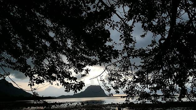 Unfall auf Mauritius endet f&uuml;r deutsche Touristin t&ouml;dlich