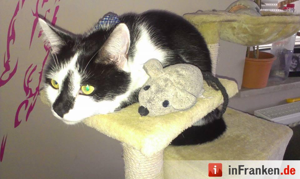 Foto: Petra Mauderer