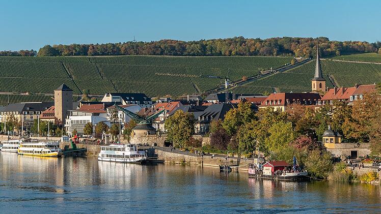 Würzburg, Weinberge, Main