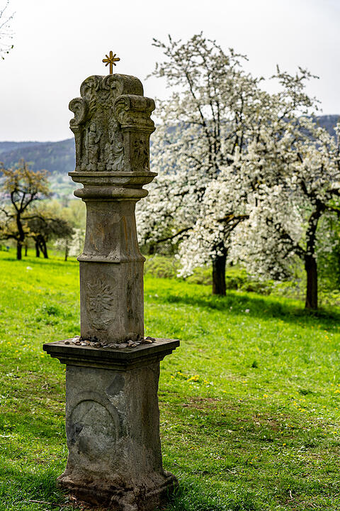 Unterwegs auf dem Kirschenweg.