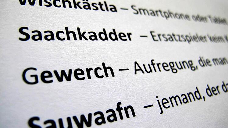 Der Bund Bairische Sprache wirft Grundschulen in Bayern vor, Kindern daheim das Reden nach dem Dialekt ausreden zu wollen. Foto: Stephan Jansen/dpa