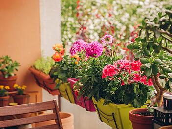 Foto: annanahabed - stock.adobe.com