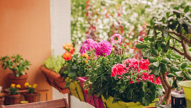 Foto: annanahabed - stock.adobe.com