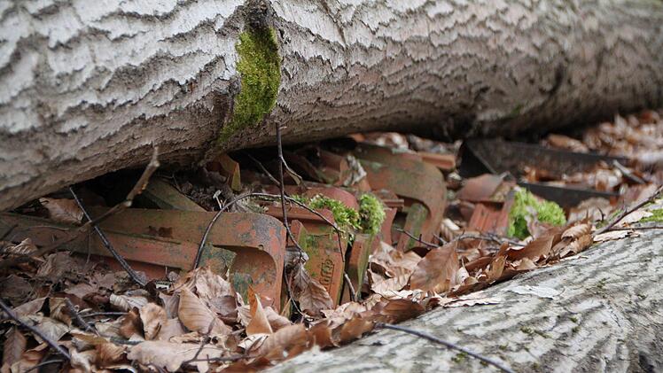 Dachziegel liegen zwischen Bäumen bei Riedenberg an der Straße von Bad Brückenau nach Wildflecken. Foto: Ulrike Müller