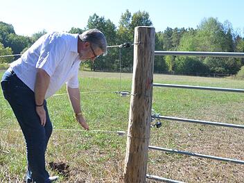 Landrat Michael Busch prüft im Selbstversuch, ob die Weidedrähte in der Bischofsau Strom führen. Foto: Rainer Lutz