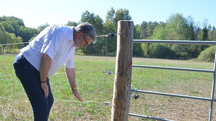 Landrat Michael Busch prüft im Selbstversuch, ob die Weidedrähte in der Bischofsau Strom führen. Foto: Rainer Lutz