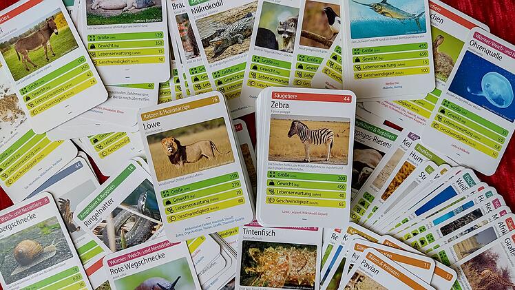 Tiere toppen im Test - geniales Kartenspiel rund um Tierfakten