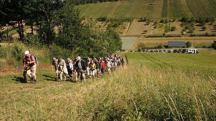 Weinbergwanderung der Saale Zeitung von Wirmsthal nach Wirmsthal 15. Juni 2014