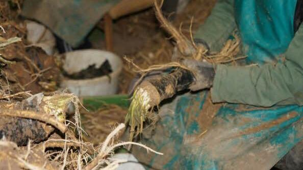 Foto: Heike Reinersmann