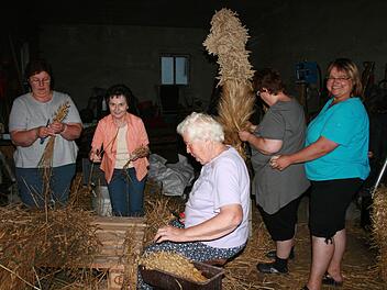 Die Erntekrone wird aus mehreren Getreidearten gebunden. Sie wird beim Festgottesdienst in der St.-Heinrich-Kirche stehen. Von links: Regina Fehn, Ilse Neubauer, Gunda Melzer, Anke Weiß und Ortsbäuerin Angelika Melzer  Foto: Karl-Heinz Hofmann
