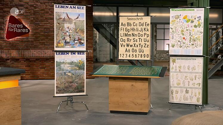 Sechs Schulkarten aus Kunststoff und Papier, die laut Detlev Kümmel in den 1960er bis 1970er Jahren entstanden sind, sollten eigentlich auf dem Müll landen. Die Verkäuferin wünschte sich aber 260 bis 300 Euro. Geschätzt wurden nur 200 bis 250 Euro und Jan Cizek erhielt den Zuschlag schon bei 150 Euro.