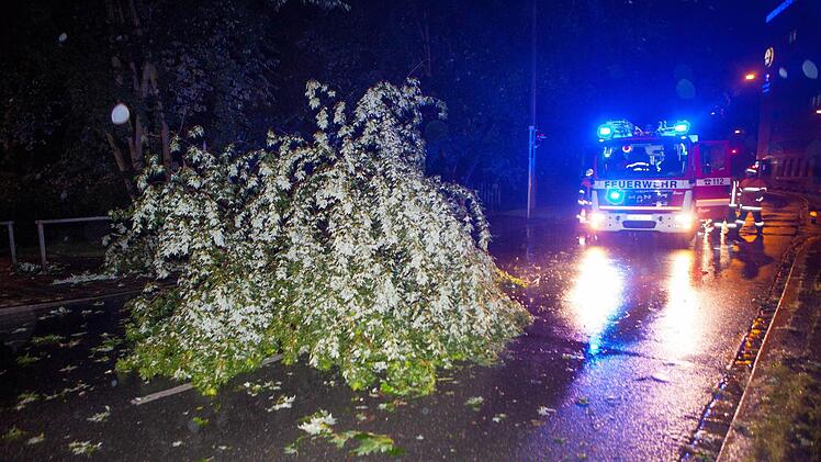 Foto: News5 / Grundmann