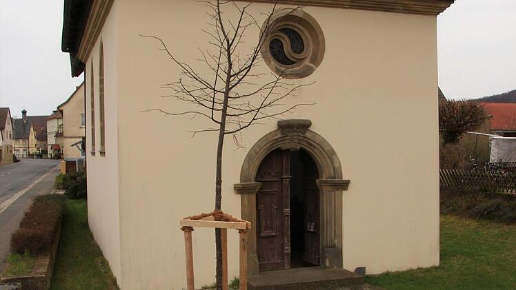 An der Kreuzkapelle ist eine neue Linde gepflanzt worden.