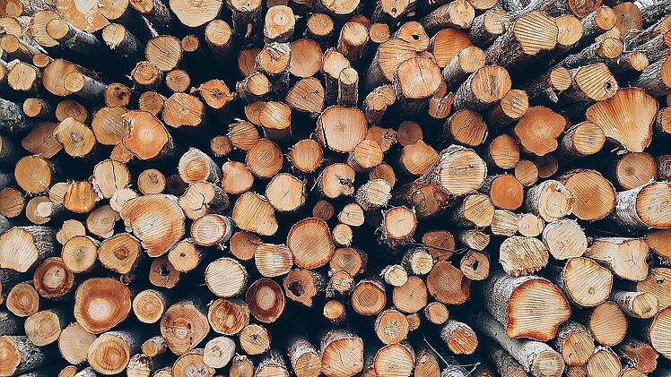 Hochwertiges Holz erkennt man meist an Gütesiegeln oder einer regionalen Herkunft.