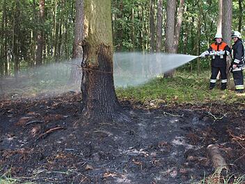 Die Feuerwehr löschte das betroffene Waldstück, bevor sich die Flammen weiter ausbreiten konnten.  Foto: shx