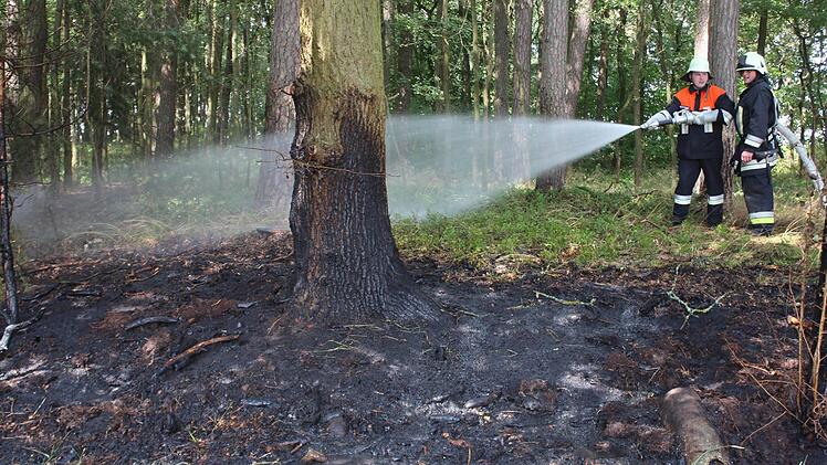 Die Feuerwehr löschte das betroffene Waldstück, bevor sich die Flammen weiter ausbreiten konnten.  Foto: shx