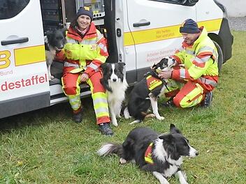 Bettina und Timo Griebel mit ihren Border Collies Neo, Jazzman, Finn und Lanny, die vor jedem Einsatz mit leuchtender Banderole und einem GPS-Tracker ausgestattet werden.  Foto: K.- H. Hofmann